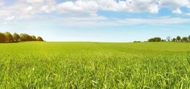  la campagne